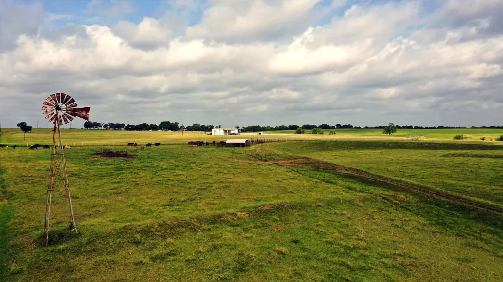 Picture 20