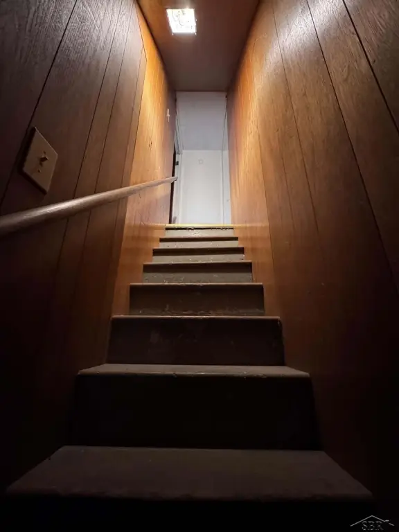 Picture 24