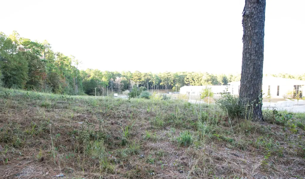 Picture 6