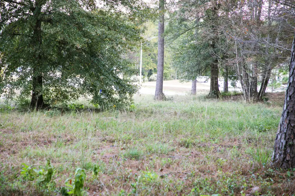 Picture 14