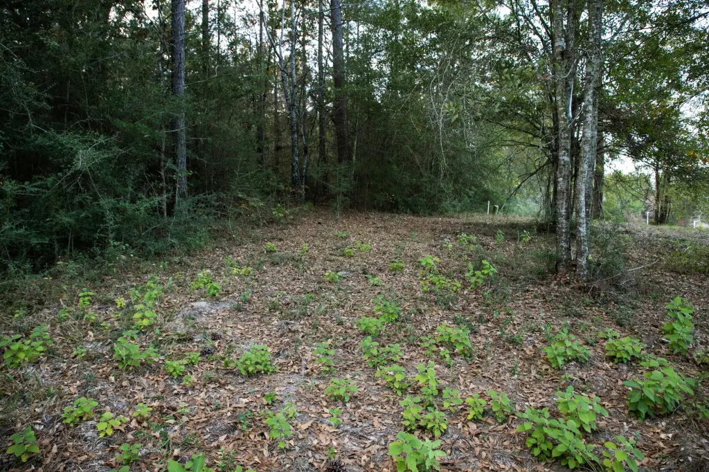 Picture 12