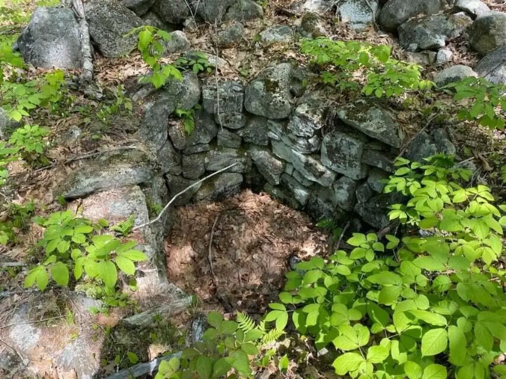 Picture 8
