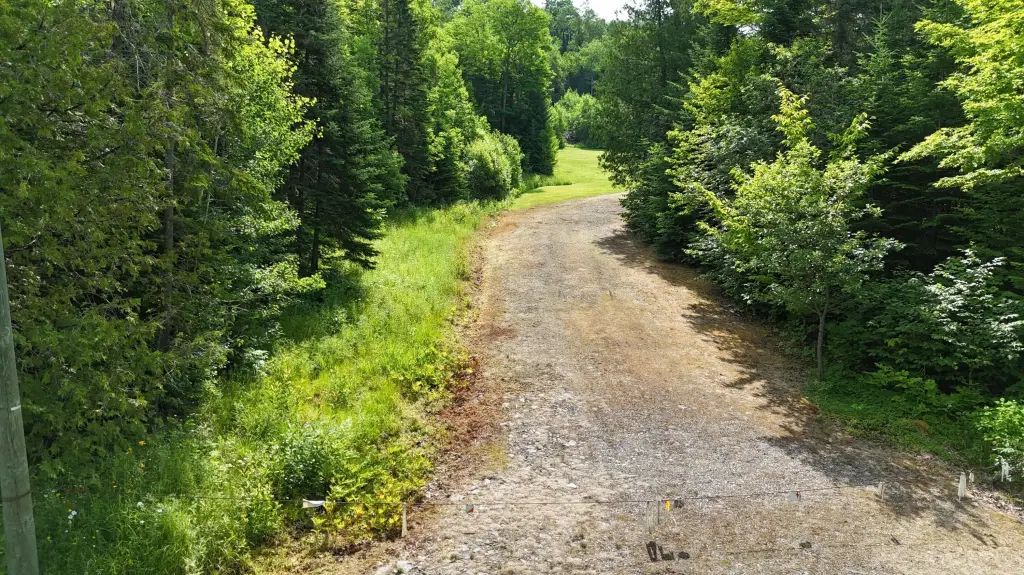 Picture 24