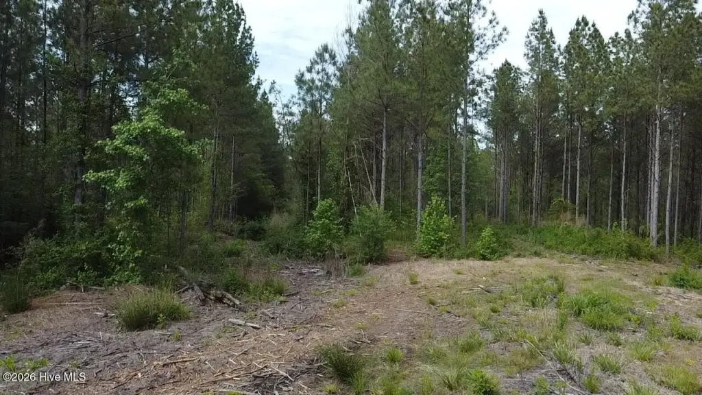 Picture 32