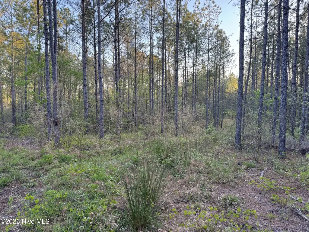 Picture 25