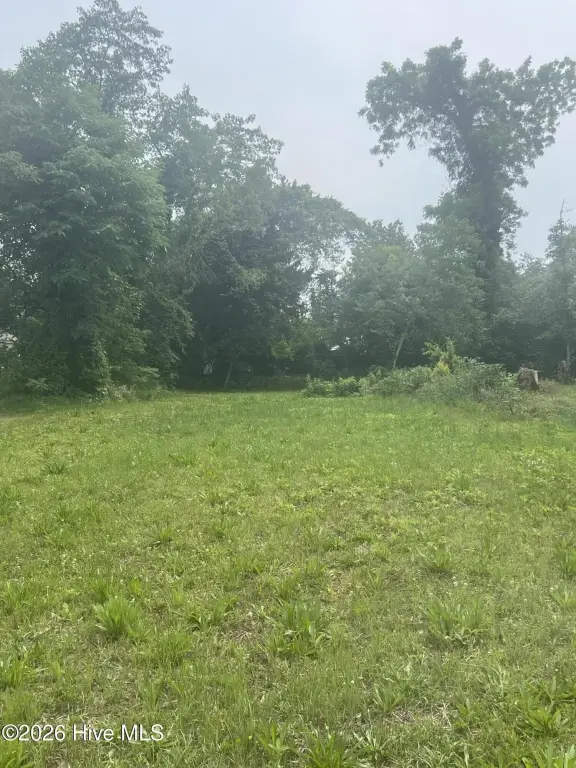 Picture 3