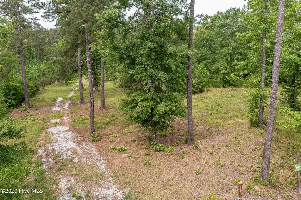 Picture 31