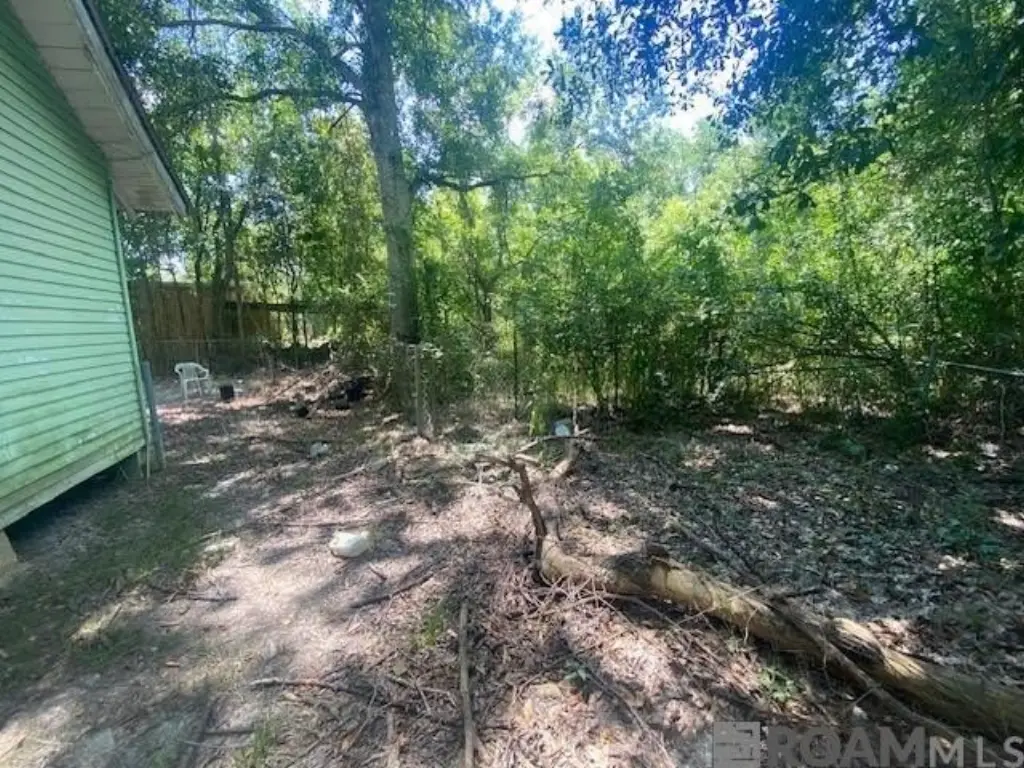 Picture 13