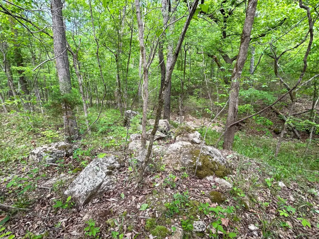 Picture 18