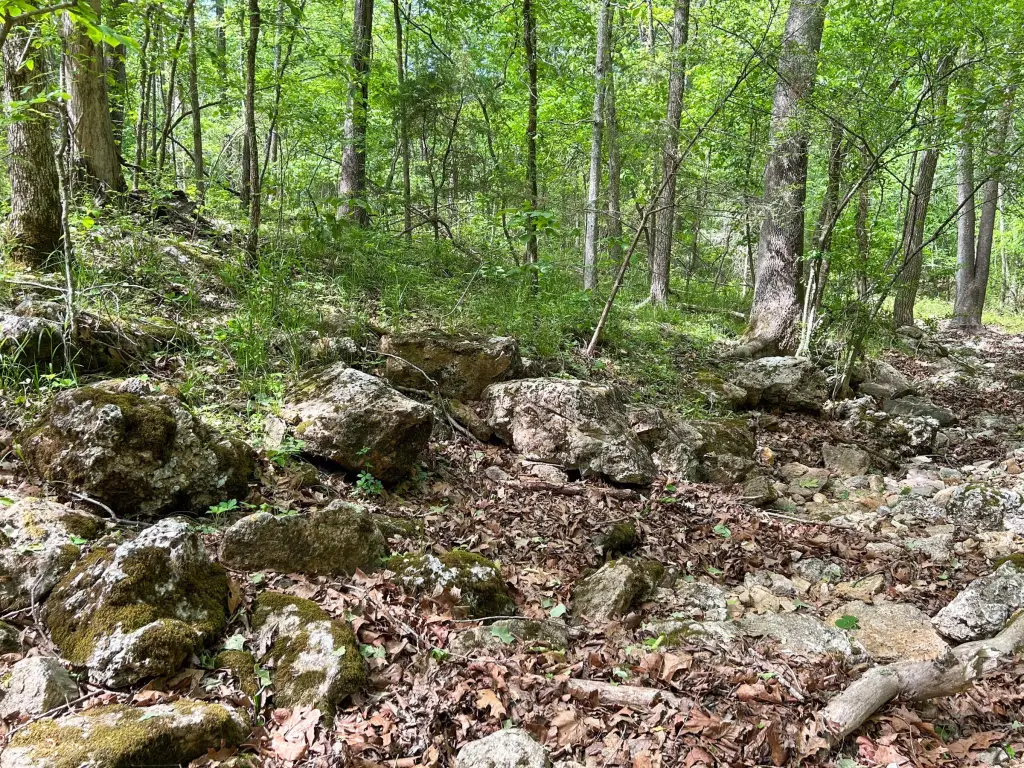 Picture 21