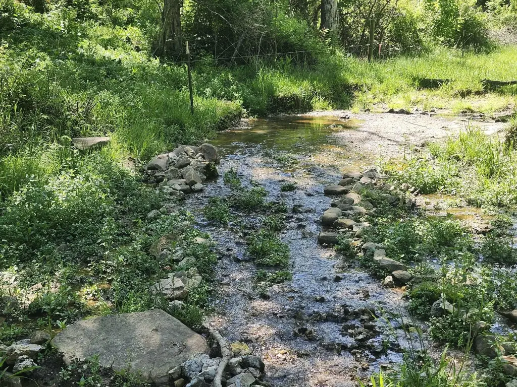 Picture 14