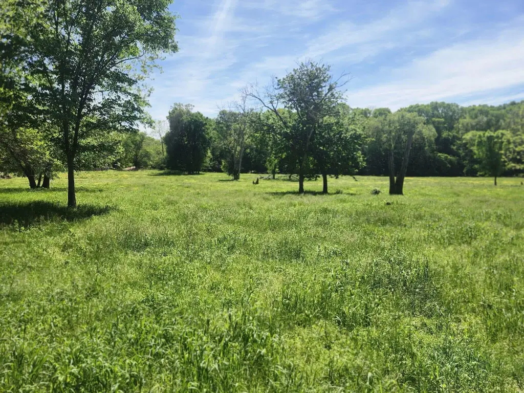 Picture 23