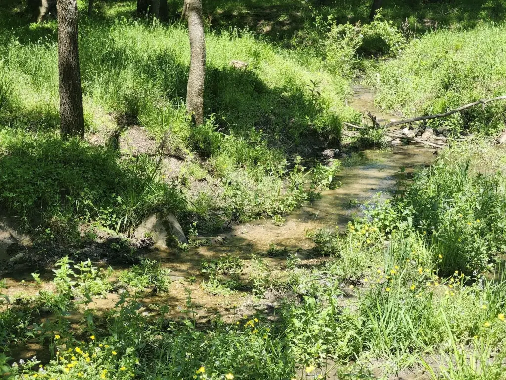 Picture 16