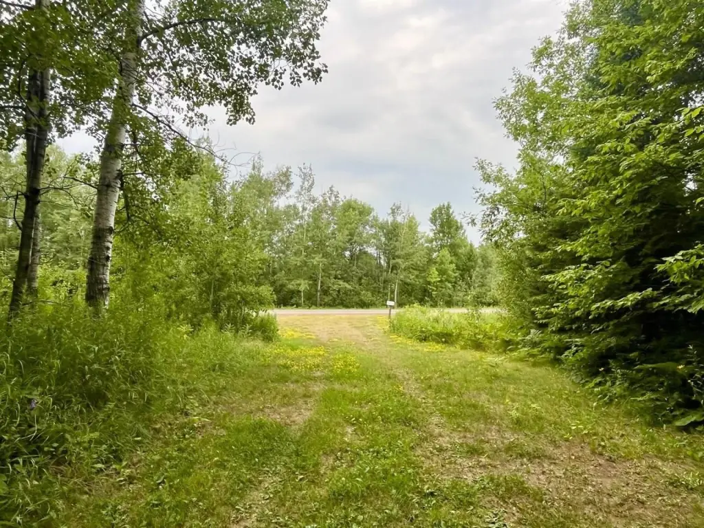 Picture 45