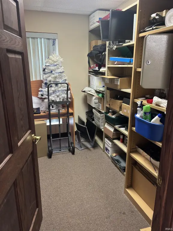 Picture 19