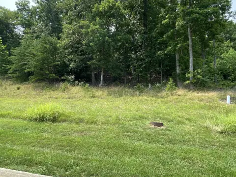 Residential Land in Rocky Mount