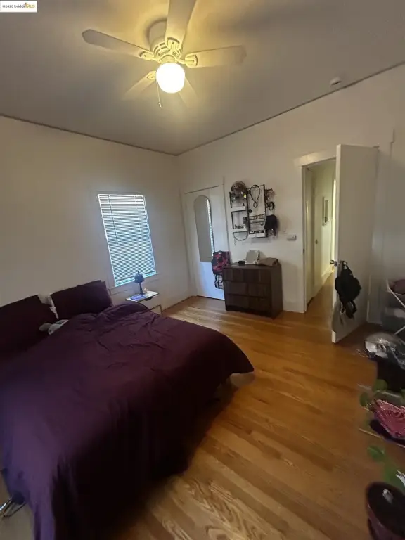 Picture 12