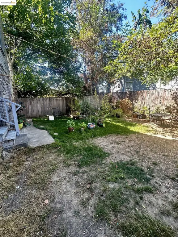 Picture 15