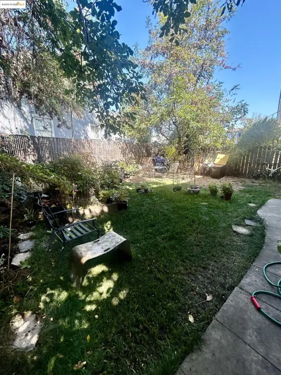 Picture 16