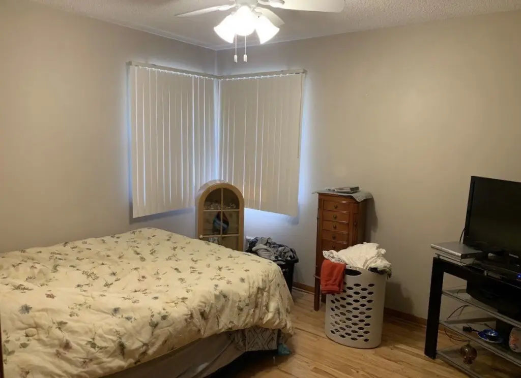 Picture 6