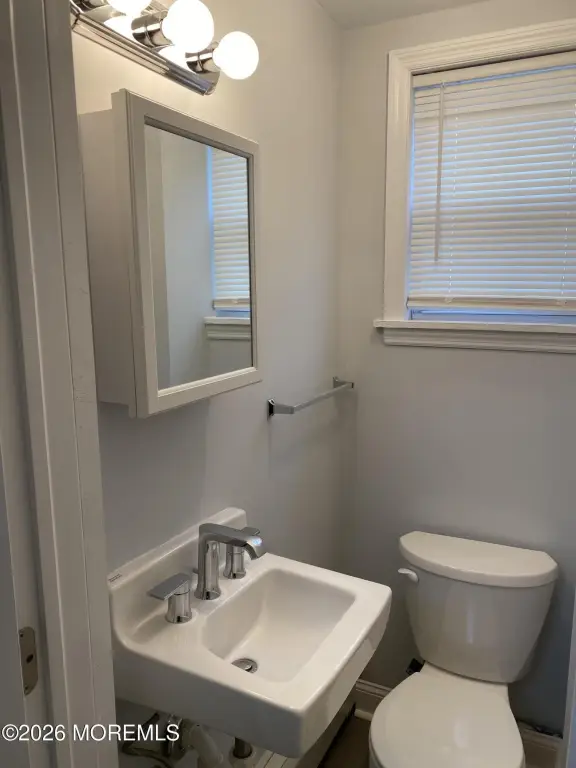 Picture 19