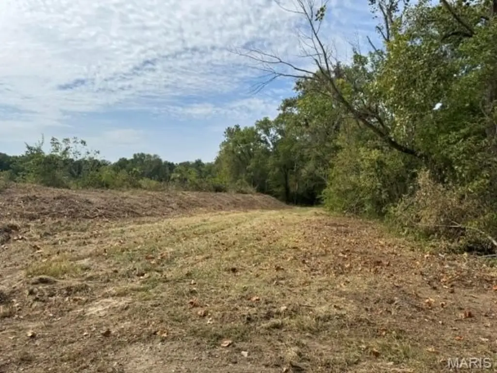 Picture 8