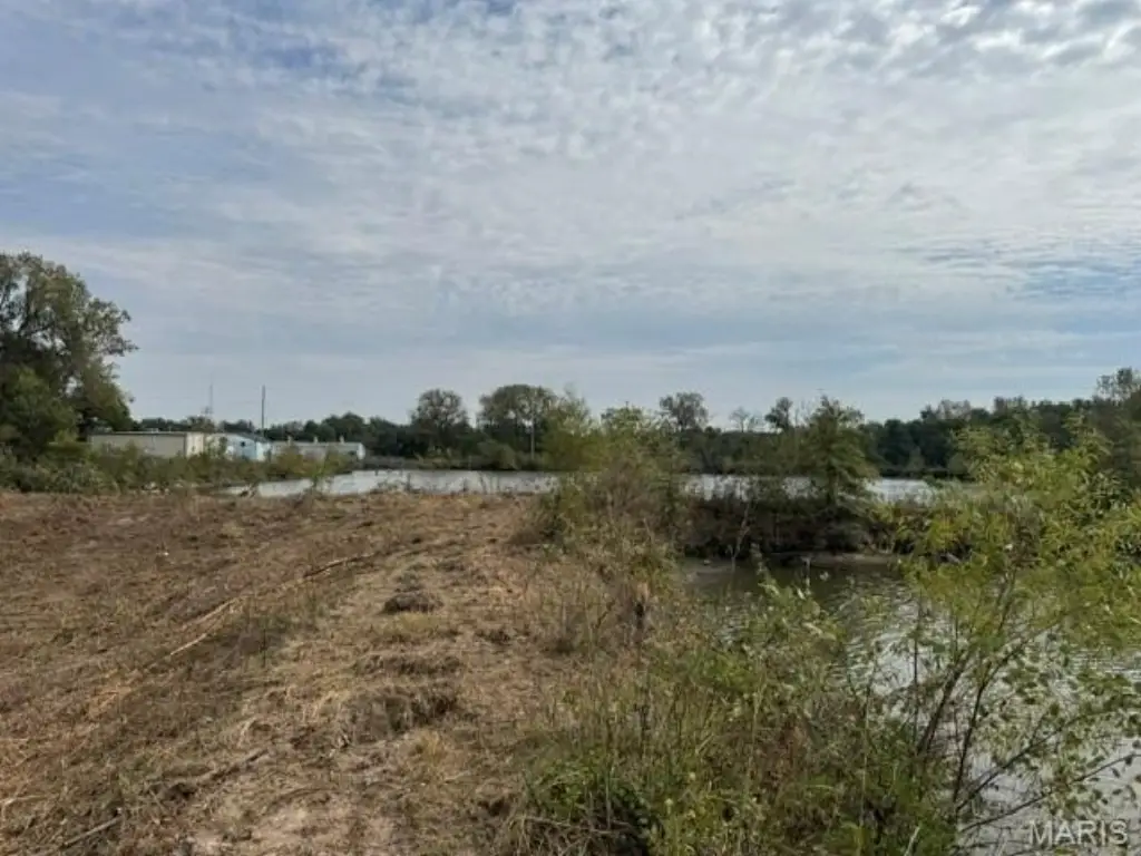 Picture 14