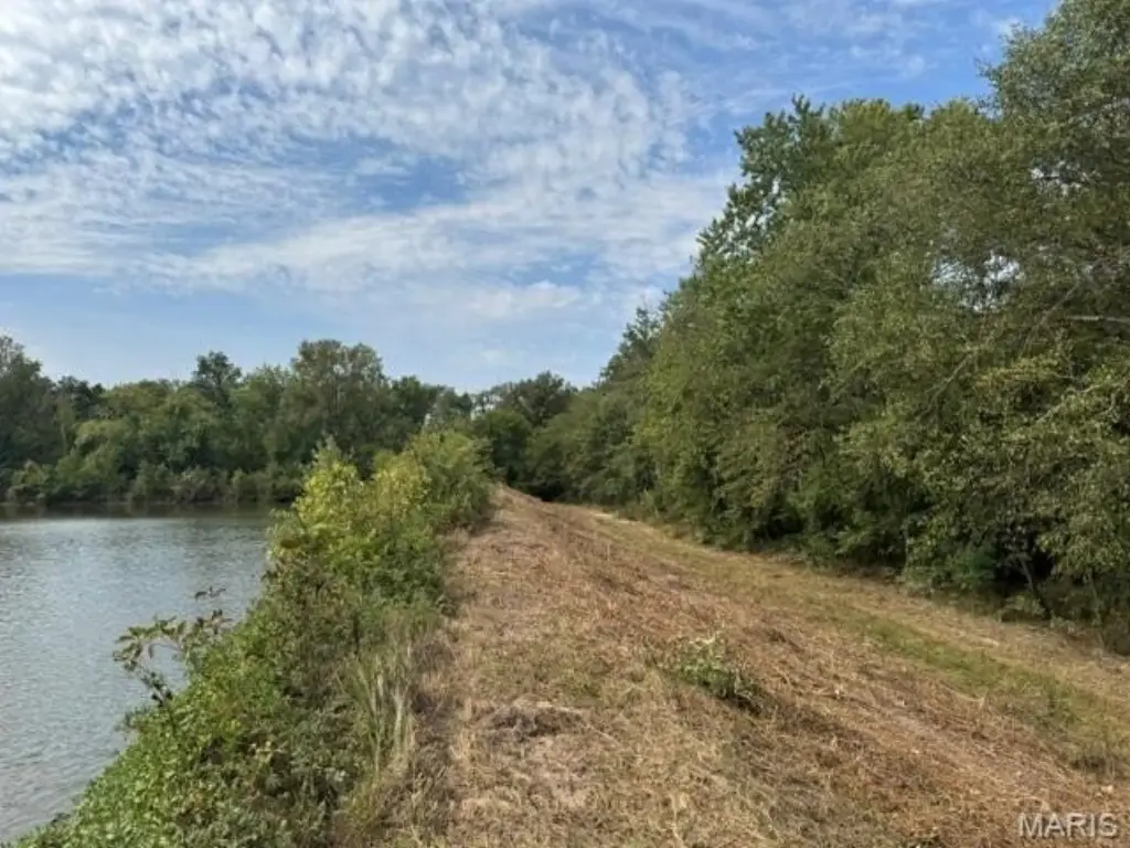 Picture 13