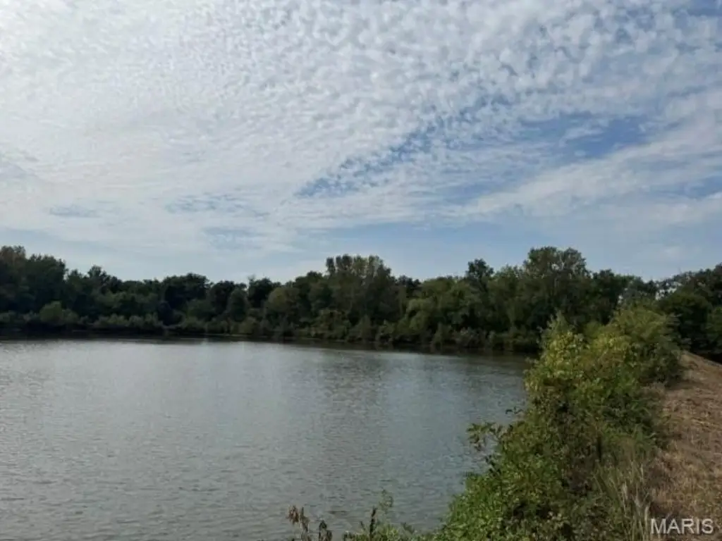 Picture 12