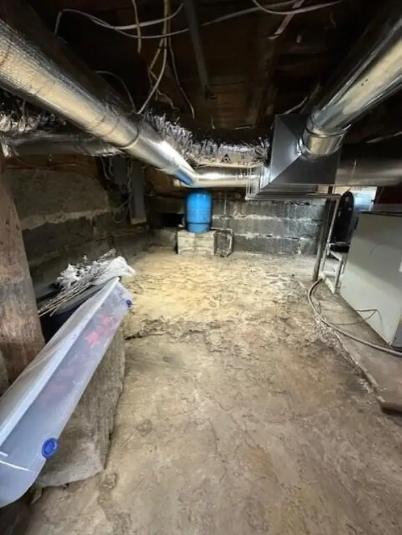 Picture 39