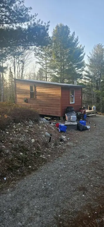 Picture 17