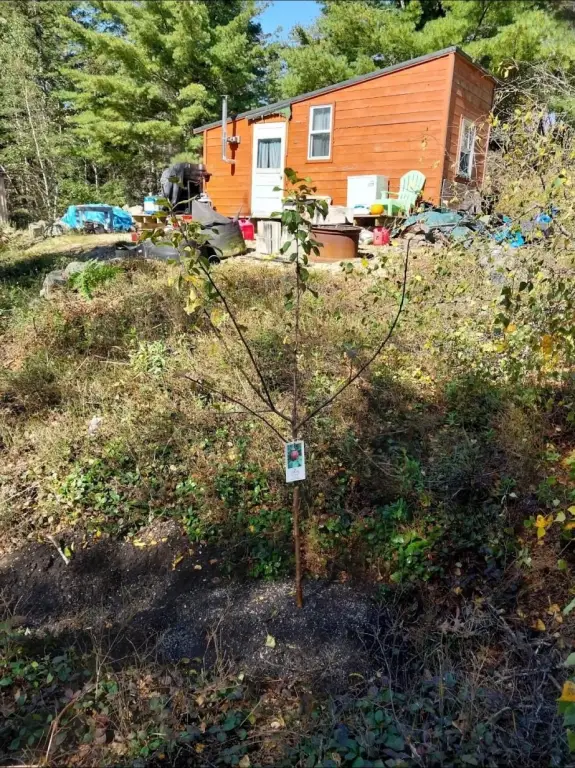 Picture 18