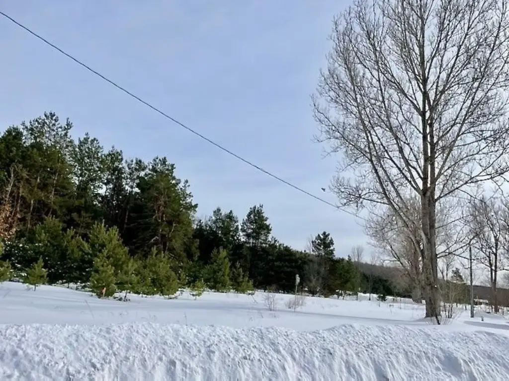 Picture 20