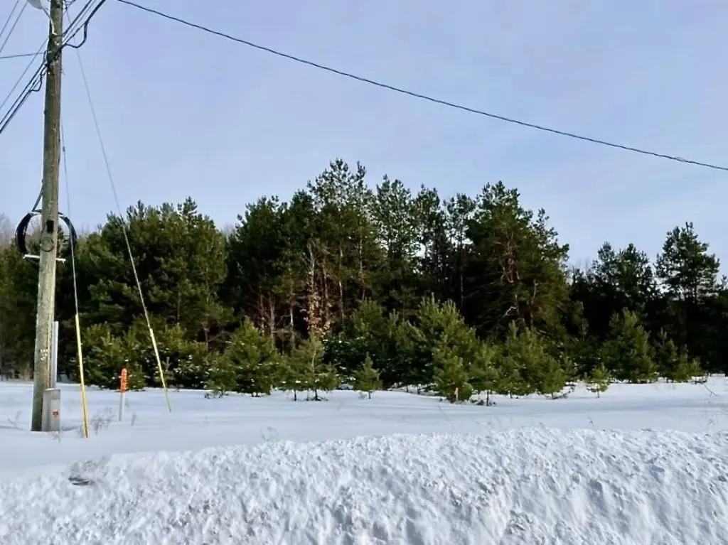 Picture 17