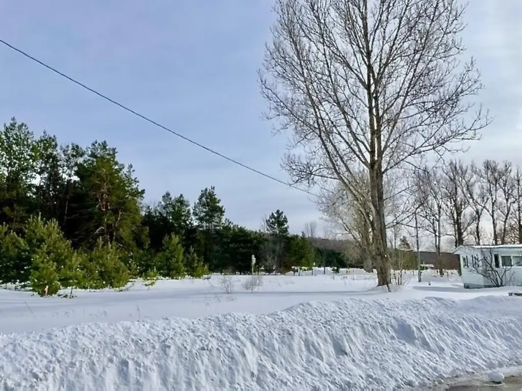 Picture 16