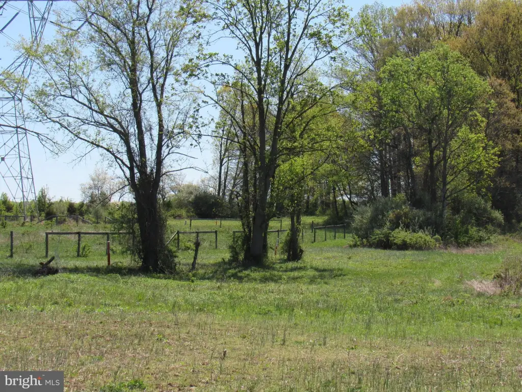 Picture 27