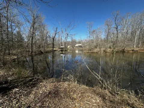 Orrville, AL Vacant Land
