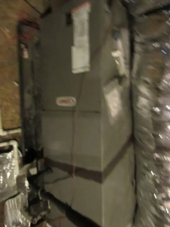 Picture 24
