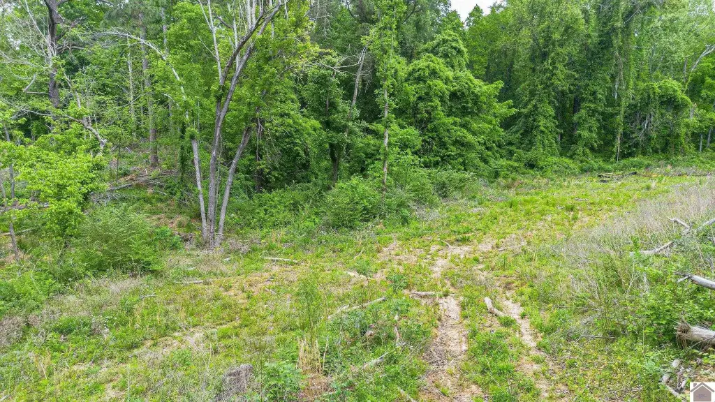 Picture 25