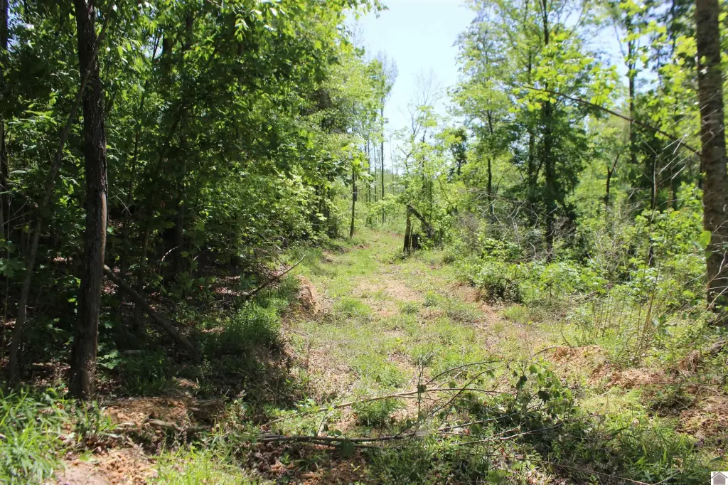 Picture 38