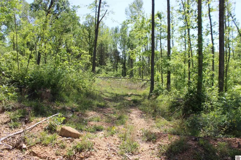 Picture 34