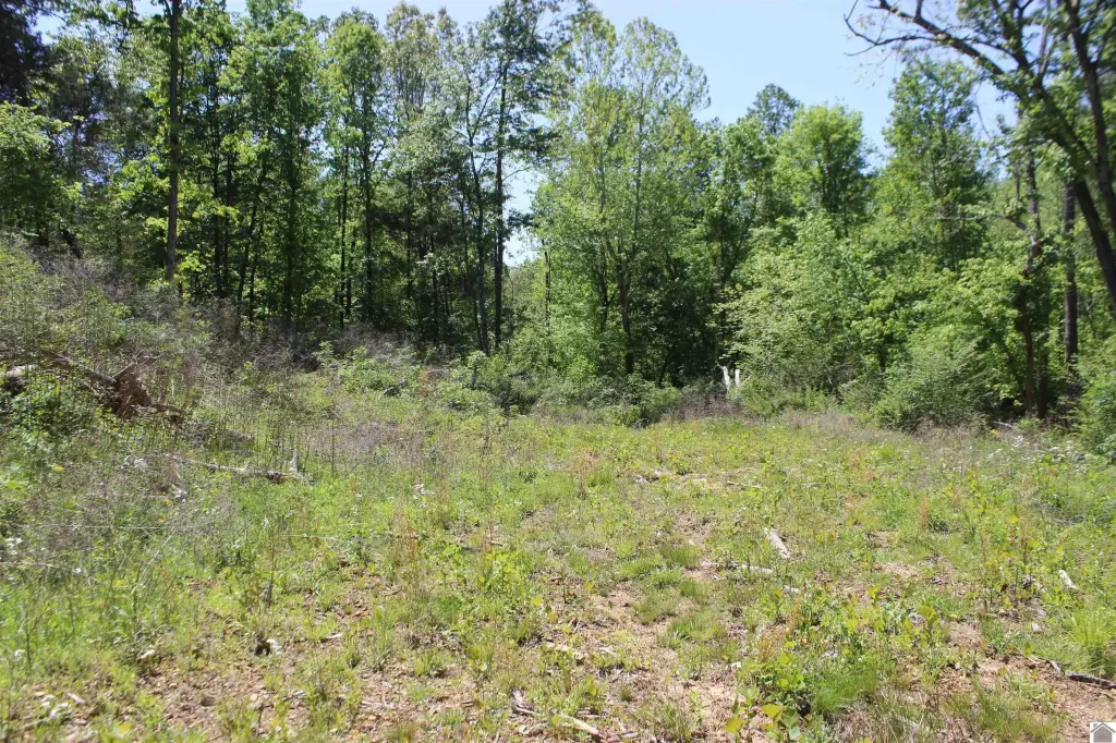 Picture 37