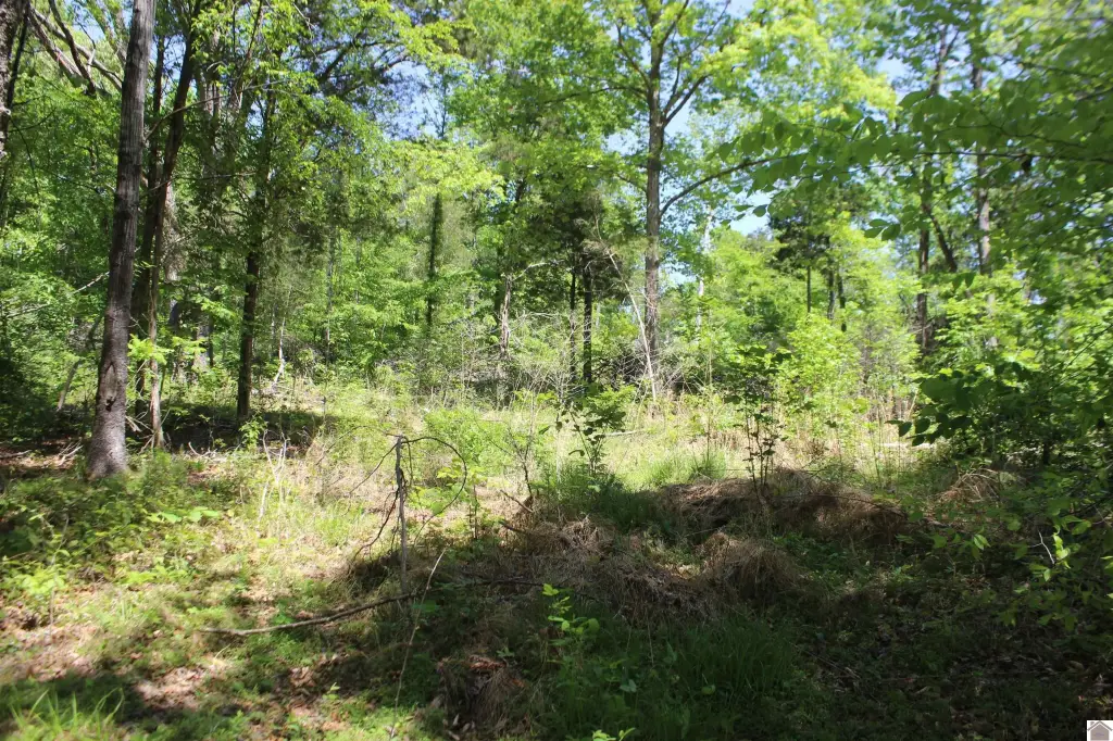 Picture 23