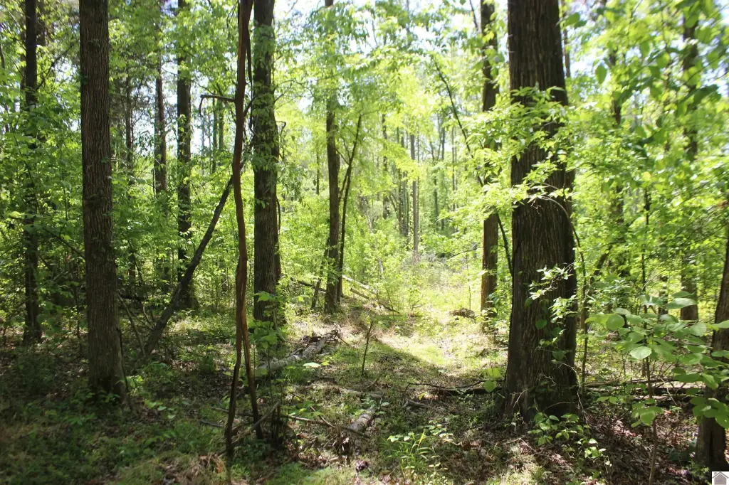 Picture 24