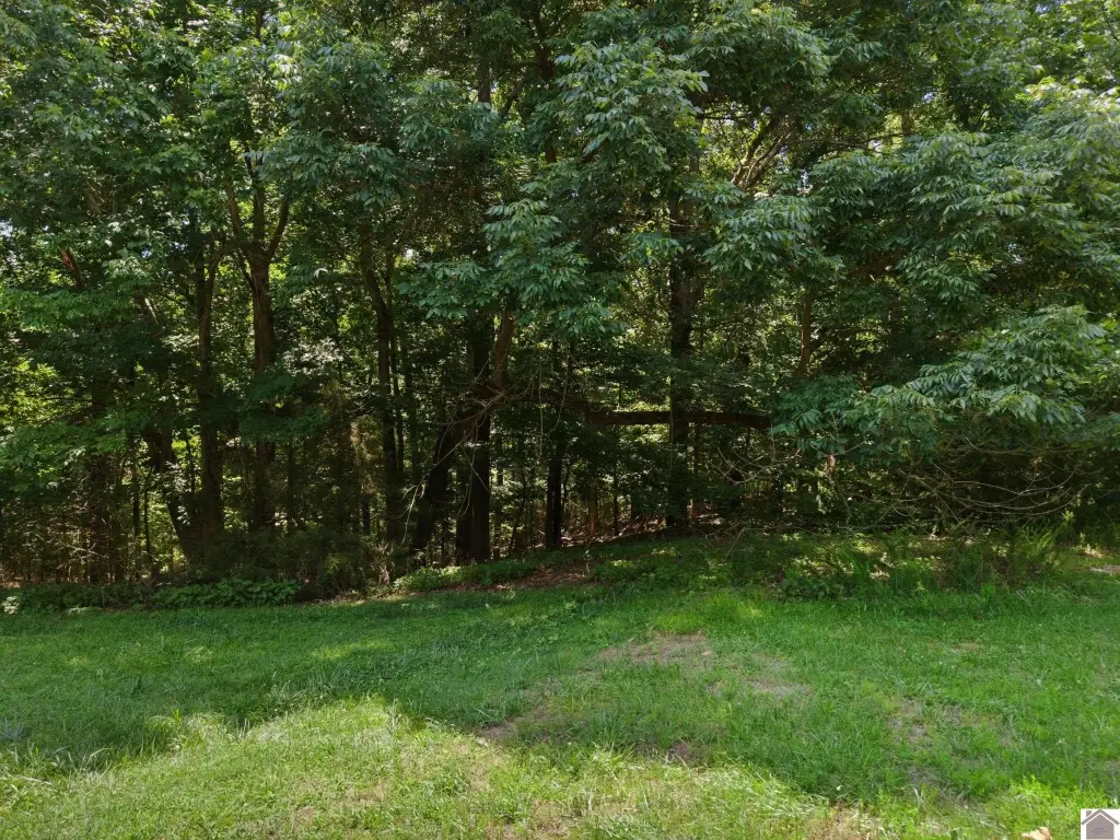Picture 3