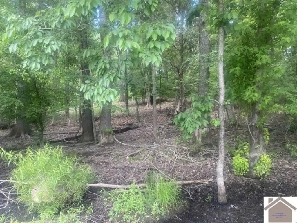 Picture 8