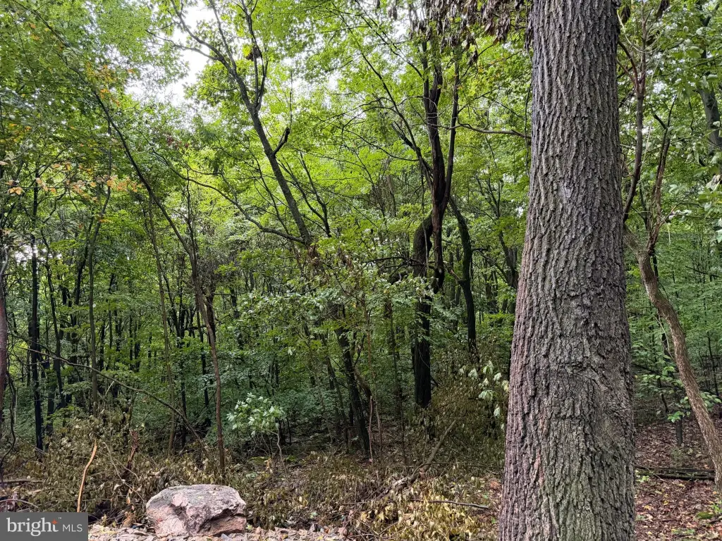 Picture 26