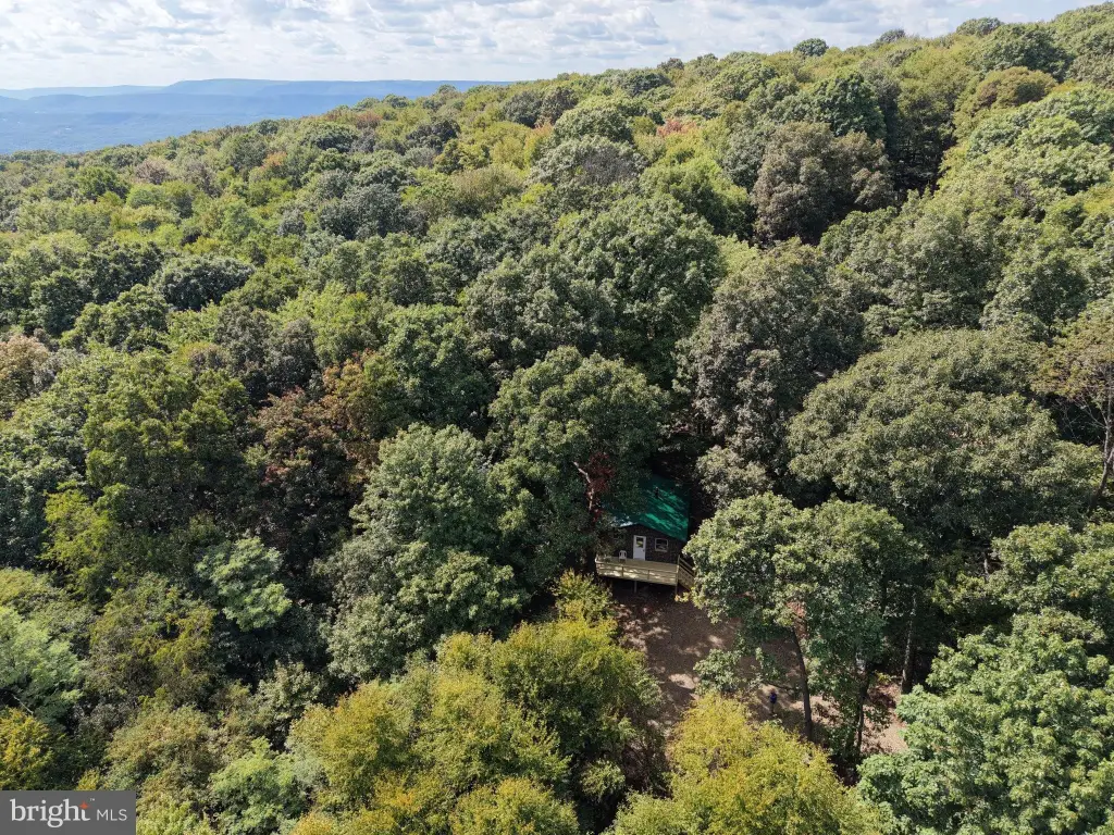 Picture 6