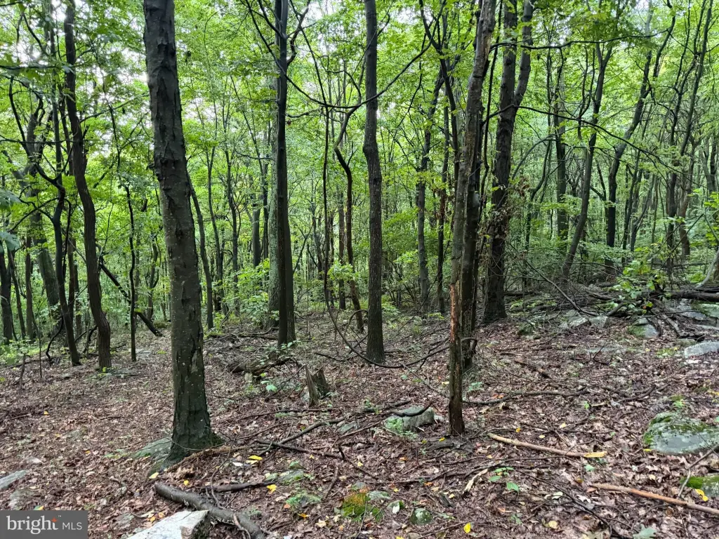 Picture 36