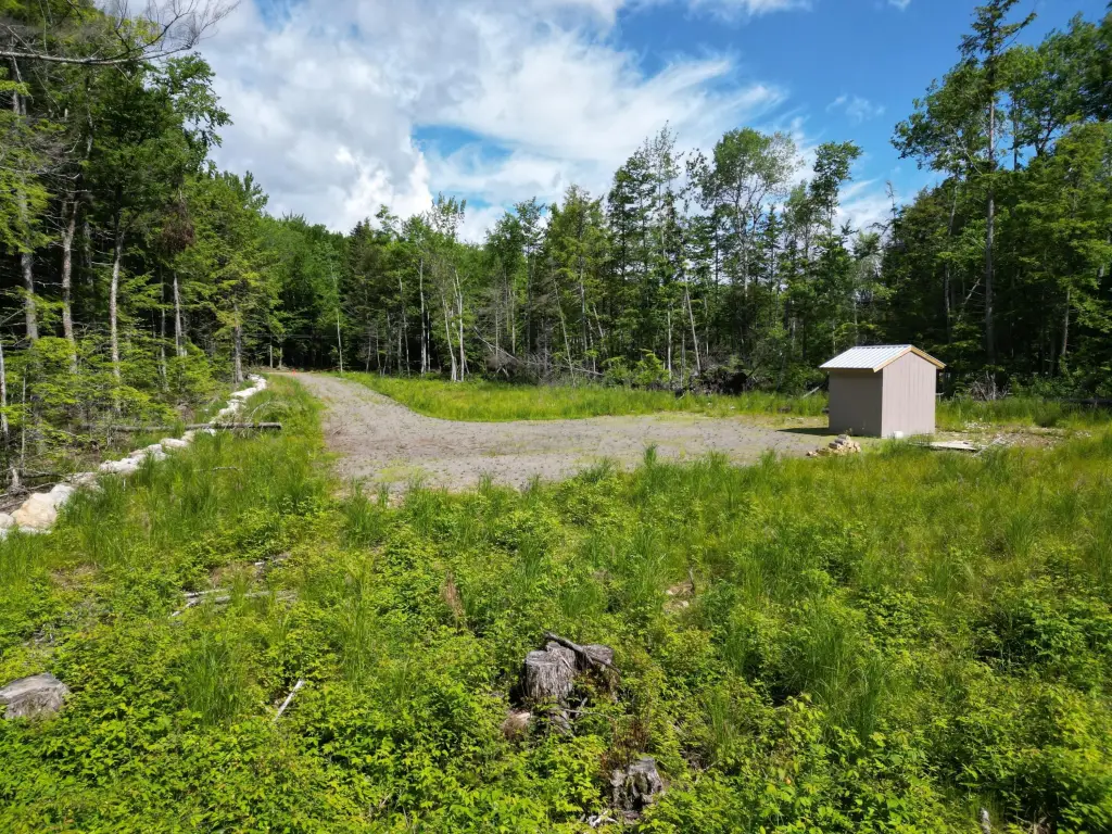 Picture 2